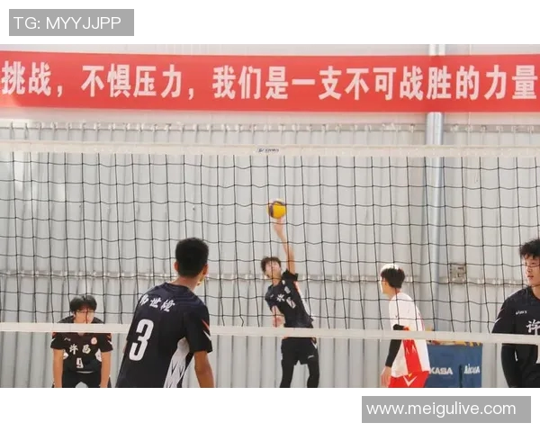 深入探讨杭州排球队的力量表现及其对比赛胜负的影响分析