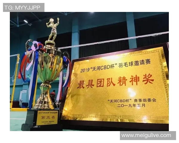 深圳羽毛球队荣登羽毛球节奏排行榜第五名引发热议