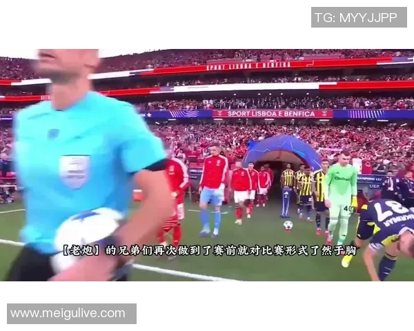 美国冰球比赛中的足球明星们如何展现不同运动的魅力与激情