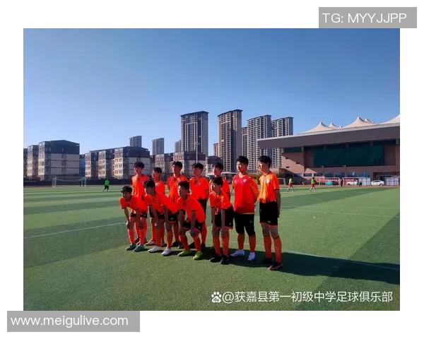 获嘉足球明星盘点及其成就分析让我们一起了解他们的辉煌历程