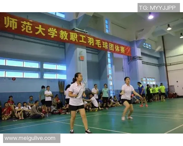 北京羽毛球队战术解析：从比赛表现看团队协作与技术运用