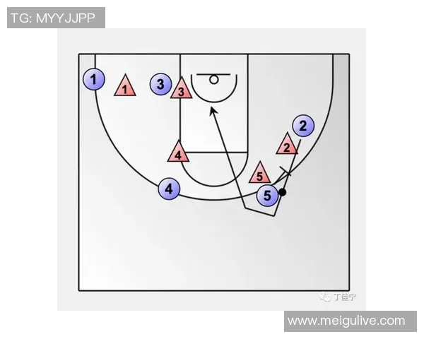 广州排球队防反战术创新探索与实践的深度分析与展望