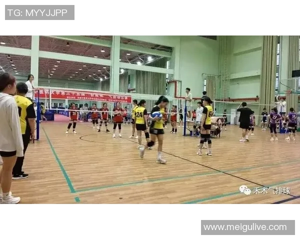 杭州排球队防守策略揭秘：如何在排球赛场上实现完美防线