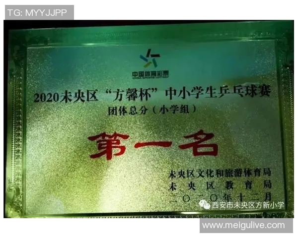 西安乒乓球队荣登全国个人能力排行榜第七位的背后故事 西安乒乓球队荣登全国个人能力排行榜第七位的背后故事